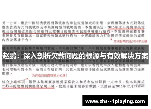 赵鹏：深入剖析欠薪问题的根源与有效解决方案